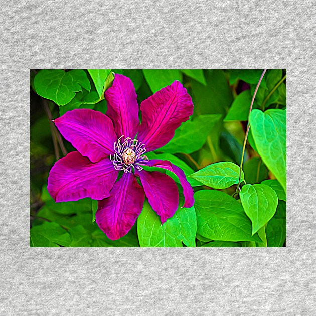 Brilliant Clematis by mariakeady